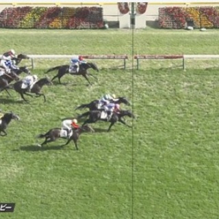 競馬総合まとめ速報