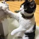 遊び盛り
