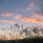 名歌名句鑑賞のblog