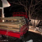 馬とニャンコと男と女