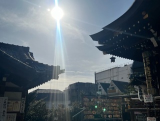今日は近くの神社にお参りして来ました🙏