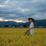 ★小学校教員サポート★実用データ共有★ブログ