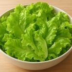 サラダプラント