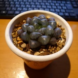 �إϥ���������٤β���