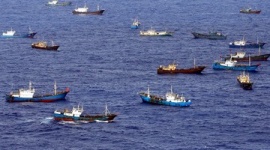 舛添「サンゴ密漁？ 国に対策をお願いしてるので、私は何もしません」