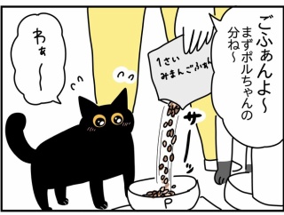 猫の名はポル㉕
