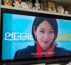 ミスホンは潜入捜査中