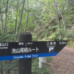 横須賀市 森下晏仙書道教室blog