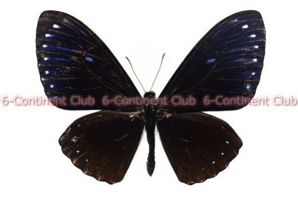c255e9e2.jpg
