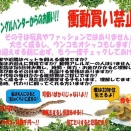 イベント情報！！～ジャングルハンター福井～