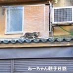 みーちゃん親子日誌