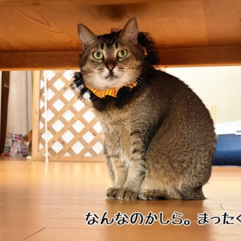 失敗作の破壊力がエグかった件