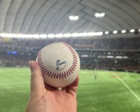 森下翔太のホームランボール獲ったドーｯｯｯｯｯ！！！！