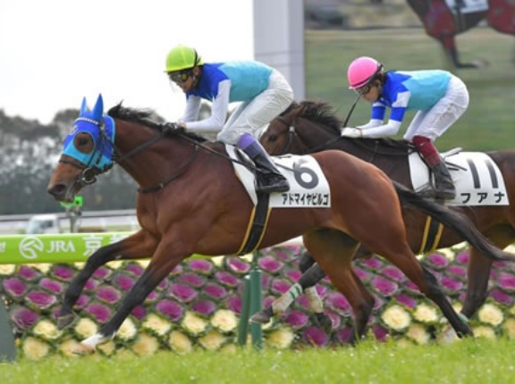 6億円馬アドマイヤビルゴの主な勝鞍