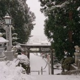 『今年の八幡宮のどんと祭は1月15日です。』の画像