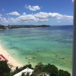『夏だ！サマーだ！』の画像