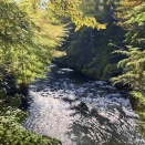 更新　展示会に出展しました　～　2026年　～