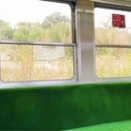 秋…終わり？？？