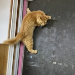 あさみ写真館