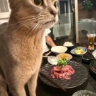 赤城牛の切り落としで、レタス鍋の夜ごはん
