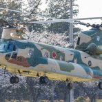 基地祭／航空祭／飛行場