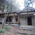 オバサンヘアーでゴーゴー