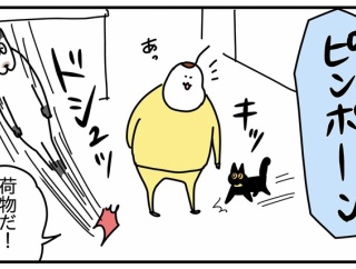 猫の名はポル㉗−1