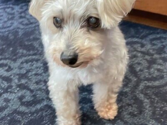 頭がごっちゃになって