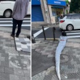 訪日ブラジル人が、蛇のコスチュームで歩道を這いずり回り物議に（動画あり）