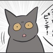 薬飲むのを頑張ったスミちゃん