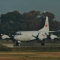 海自、２０３飛行隊のP ー３C