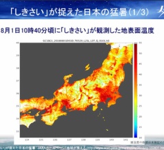 「フライパンの上で生活している」のですよ