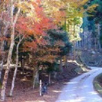 吉野川のほとりから