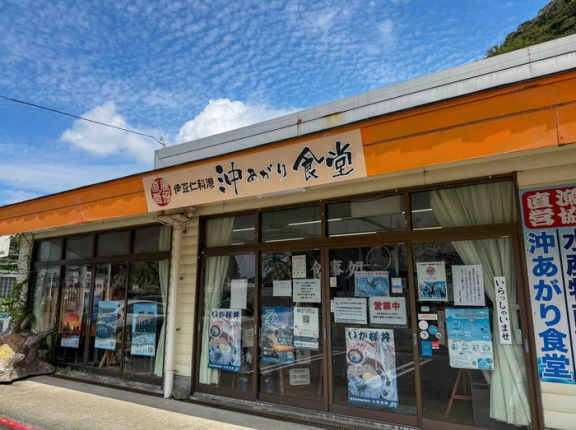 西伊豆町　沖あがり食堂　〈漁協直営！仁科港のイカが1100円でどんぶりで！〉