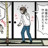 家の中に生えた竹、放置すると家が壊れる!? 田舎の古民家で知った衝撃の理由