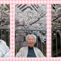 お花見しました🌸