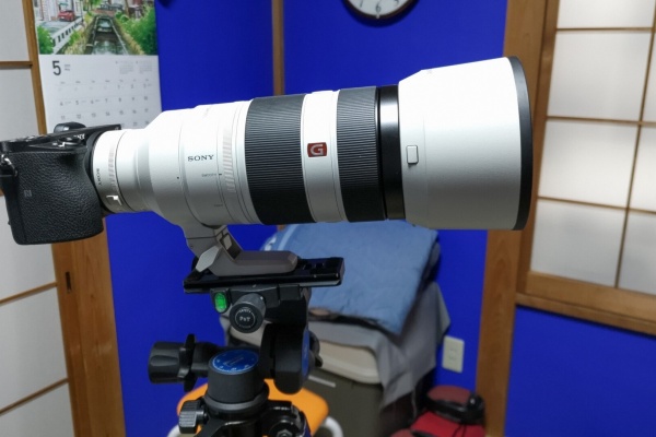 趣味の「写真、DIY、オーディオ」日記 - SEL100400GM ( FE 100-400mm