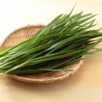 四つ葉のくまさんの癒しのお花、時々お料理日記