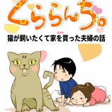 猫を飼いたくて家を買った時の話