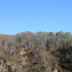 松之山温泉山の森のホテル　ふくずみ