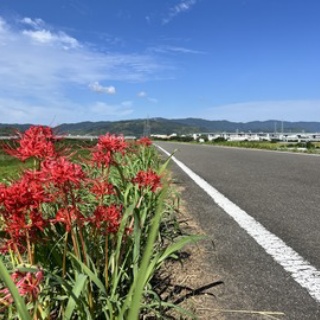 長谷川先生とちーすけのブログ
