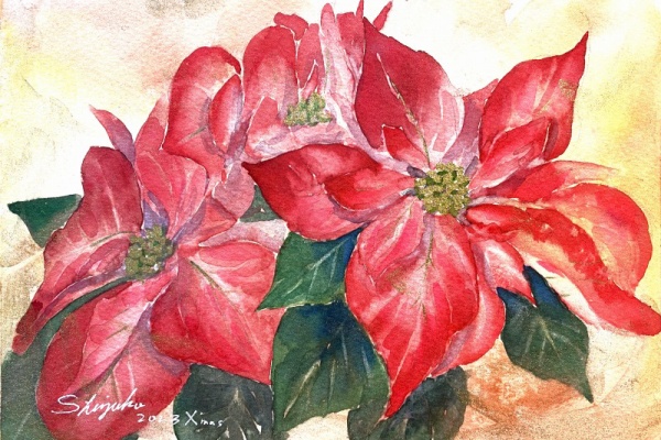 透明水彩画原画　クリスマス　聖夜　ポインセチア 透明水彩画原画クリスマス聖夜ポインセチア