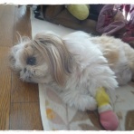 いつまでも一緒だよ♪