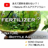 『無施肥で育つの？！〜Nature-ボトルアクアリウム〜』の画像