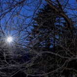 『これが老化』の画像