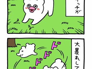 絶滅寸前の動物ハッチンパモス「パモススイッチ」