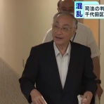 <東京２８区在住>エルの政治ブログ