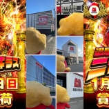 『1/11　マルハン鹿浜　ニャンギラスX』の画像