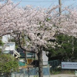 『週末へ向けた準備が整いました』の画像