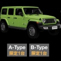 💜 WRANGLER MOJITO A-Type 💜